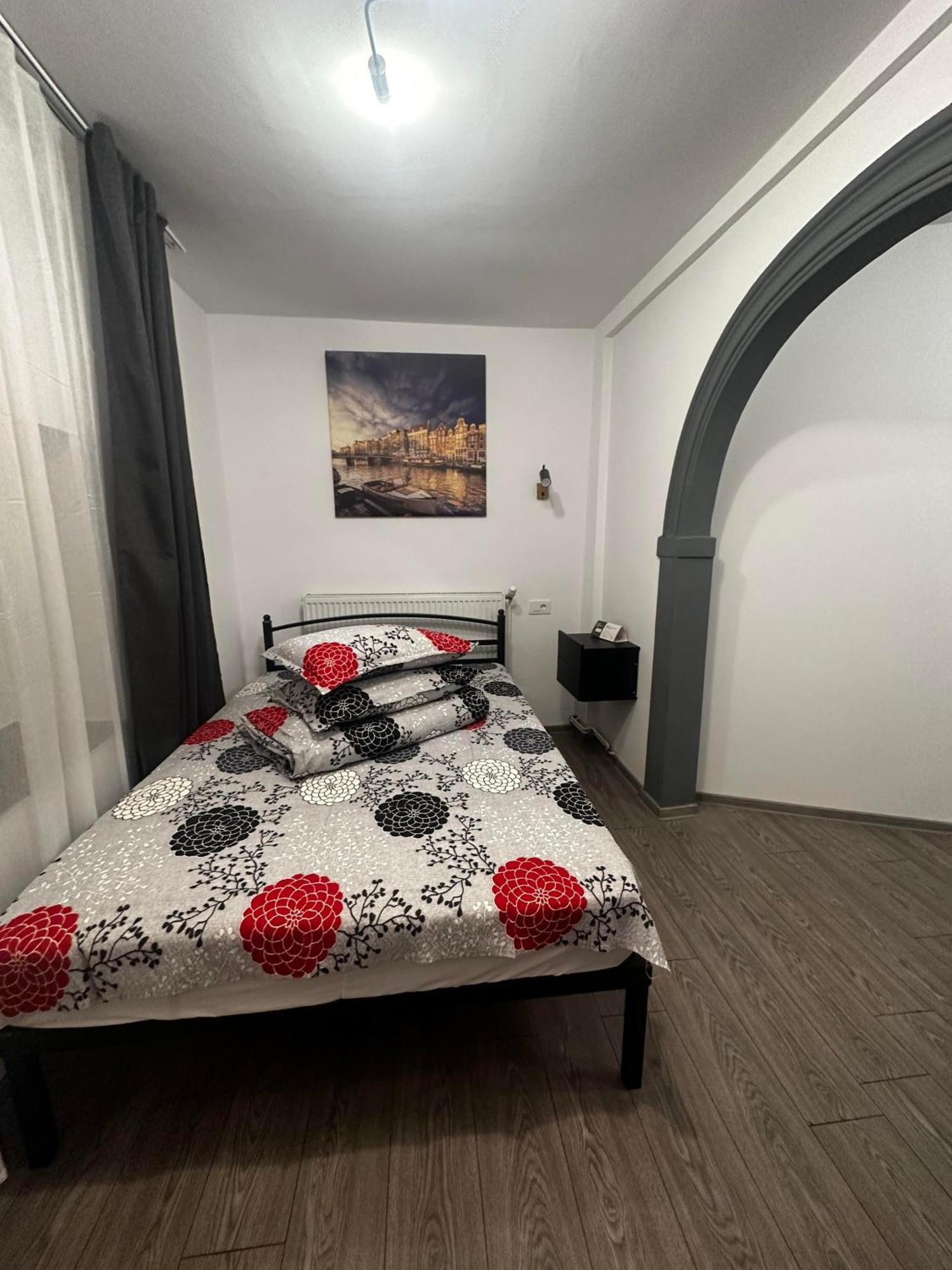 الشقق الفندقية ياشفي  Casa Bucovineana المظهر الخارجي الصورة